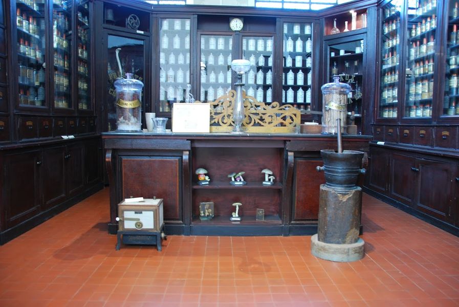 Pharmacopée du Musée