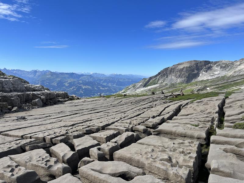 Guided mountain hike