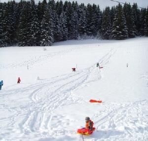 Luge à la Ruchère - St Christophe sur Guiers