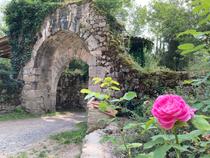 A la découverte du site médiéval de Donzy_Salt-en-Donzy