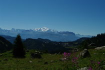 Panorama sur le Mont Blanc depuis le col de la Ramaz