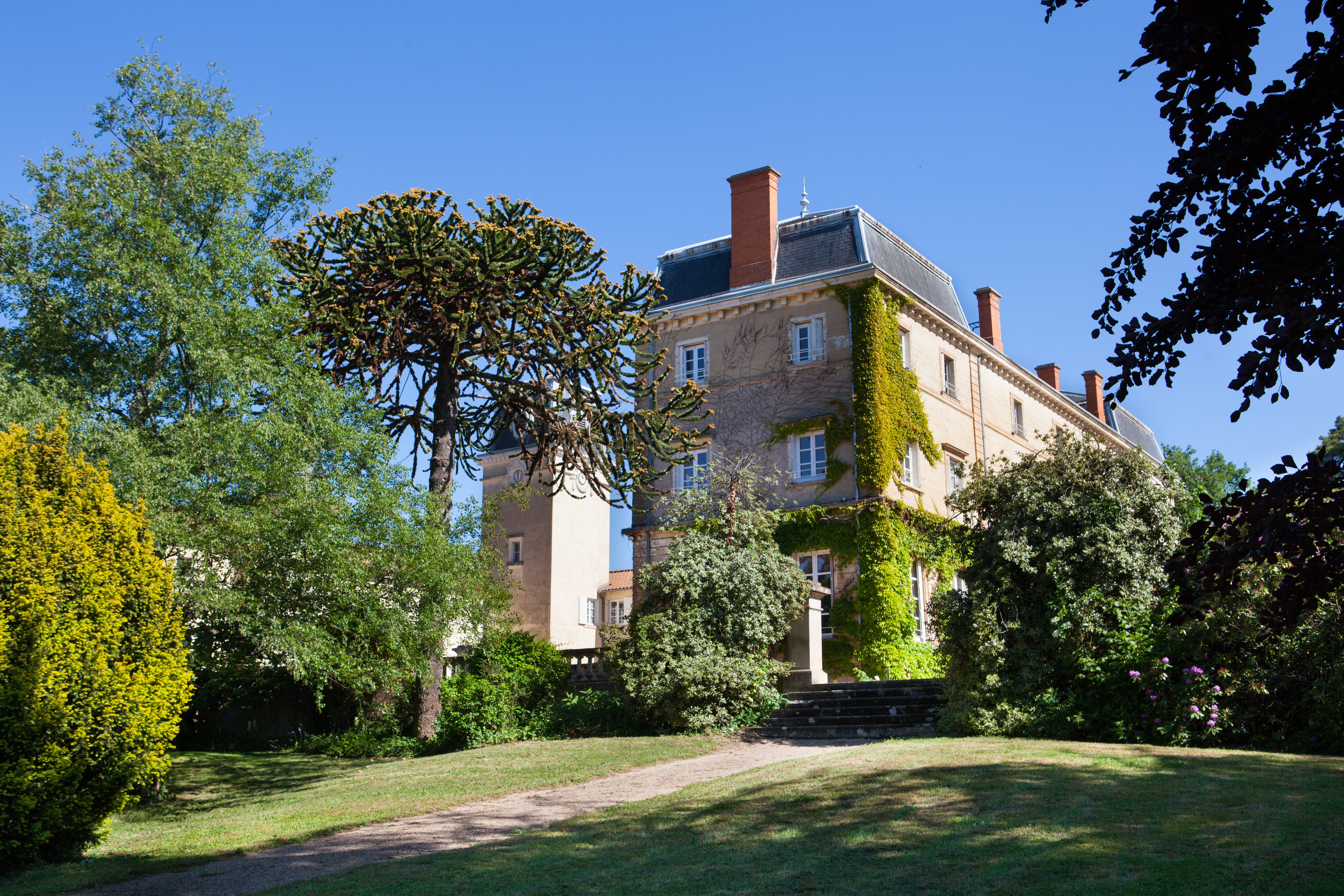 Château Bellevue Morgon