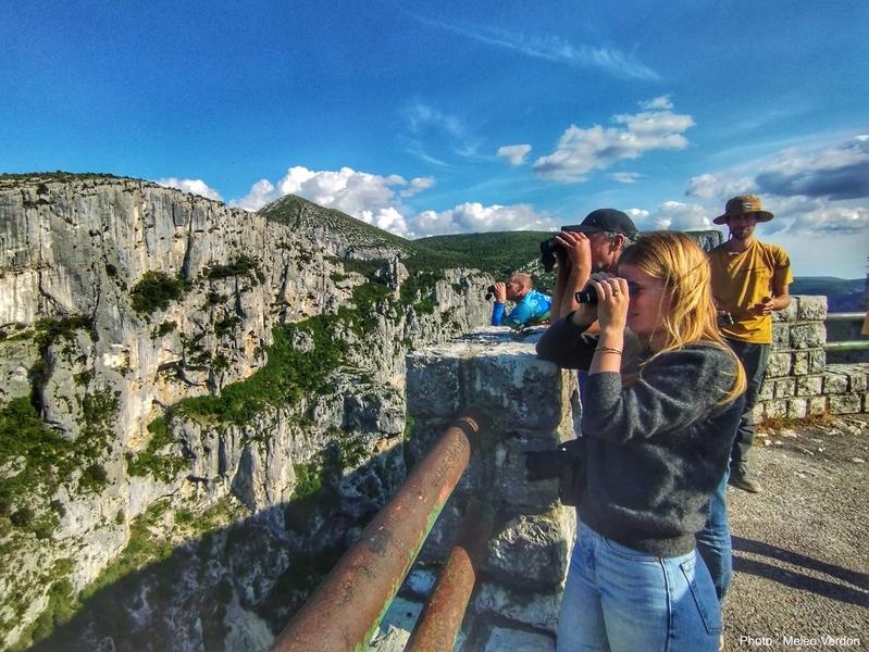 Découvrir les oiseaux et les chamois du Verdon_Castellane