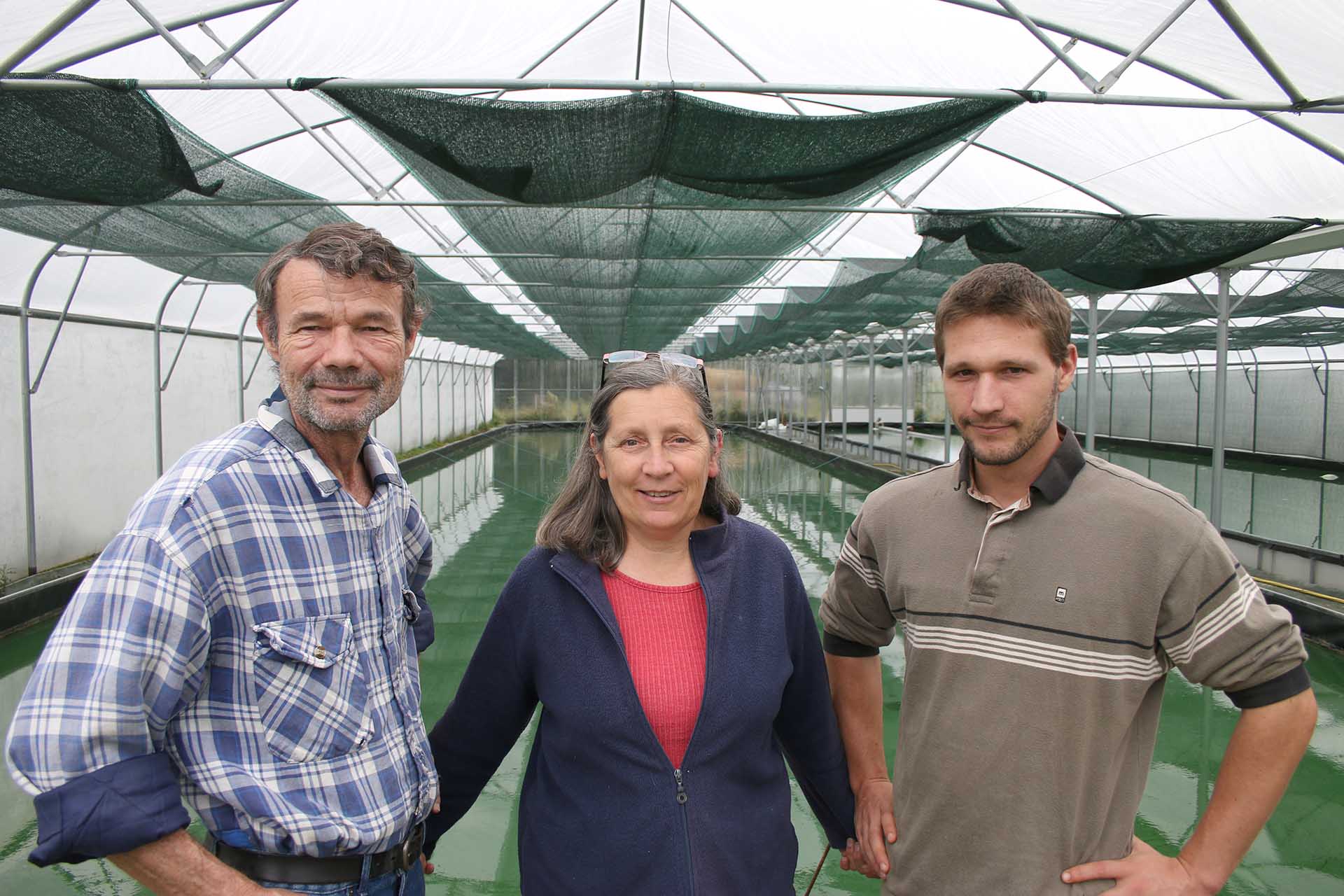 Spiruline de Haute Saintonge