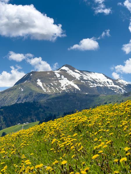 Le Mont Joly au printemps