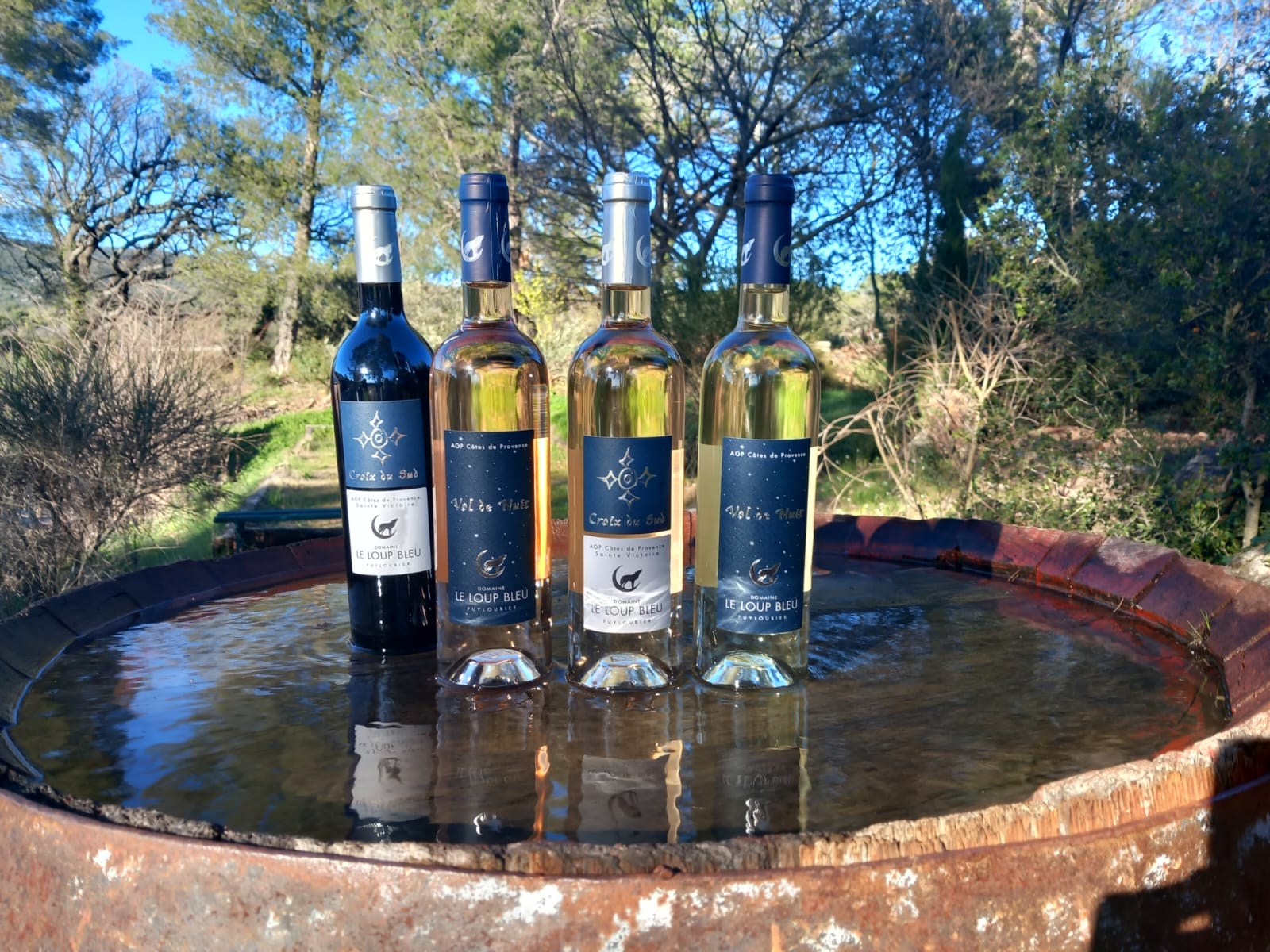 Domaine le Loup Bleu - photo 2