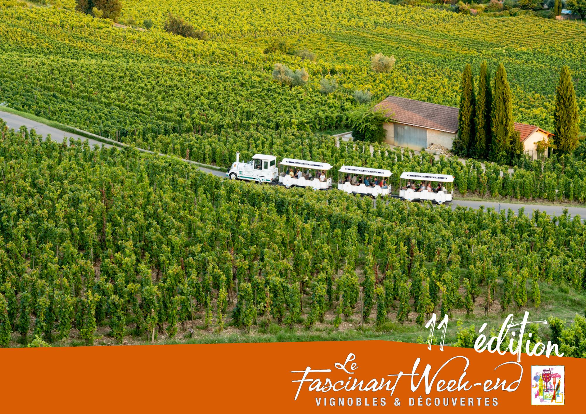 train dans les vignes