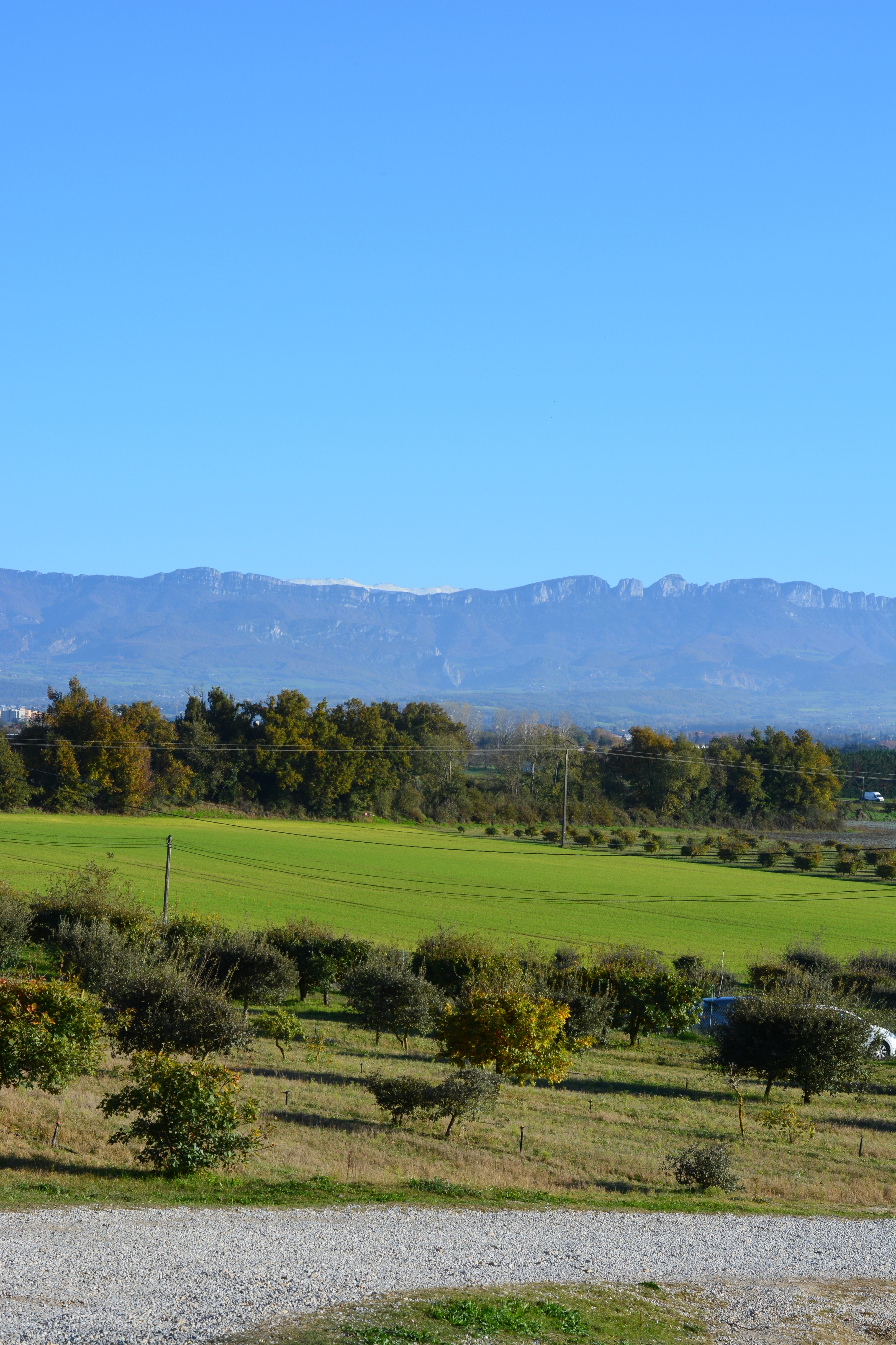 La truffe des collines