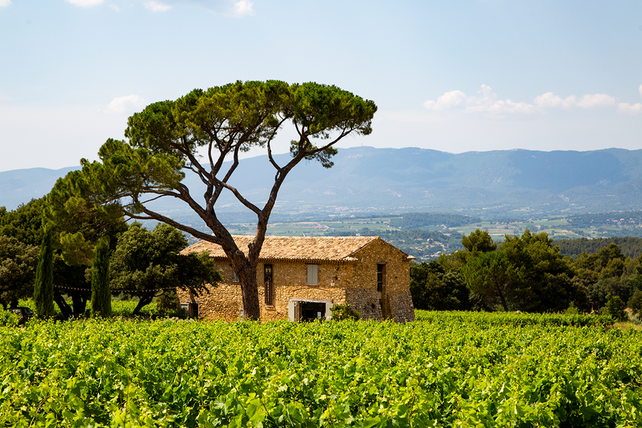 Domaine Les Perpetus