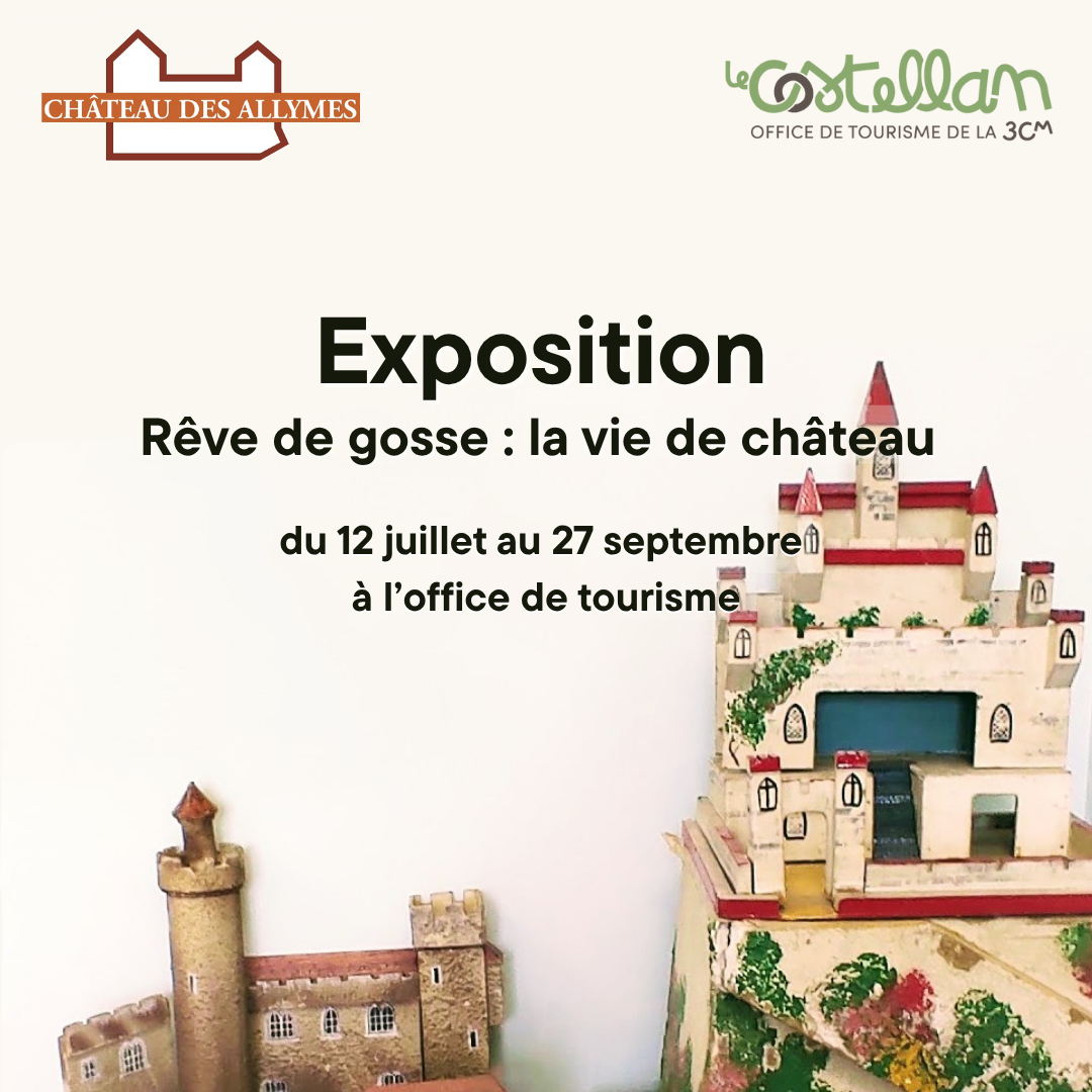 Exposition "Rêve de gosse : la vie de château"_Montluel