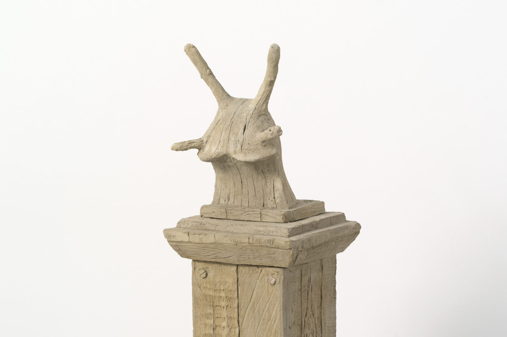 Une tête d'escargot, toutes antennes dressées