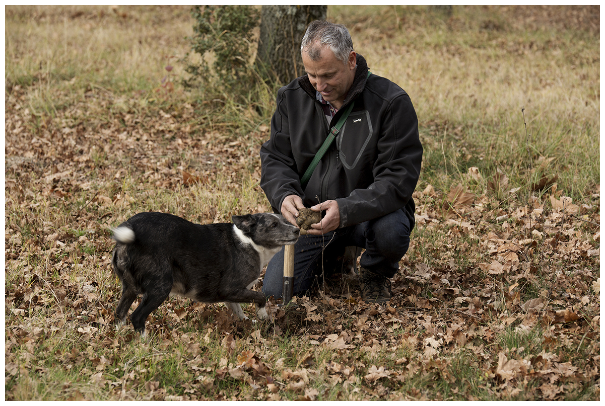 Cavage - Domaine Piallat