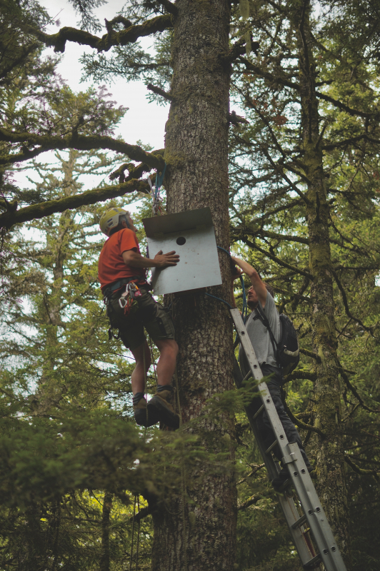 Rencontre autour du livre Forestier·es