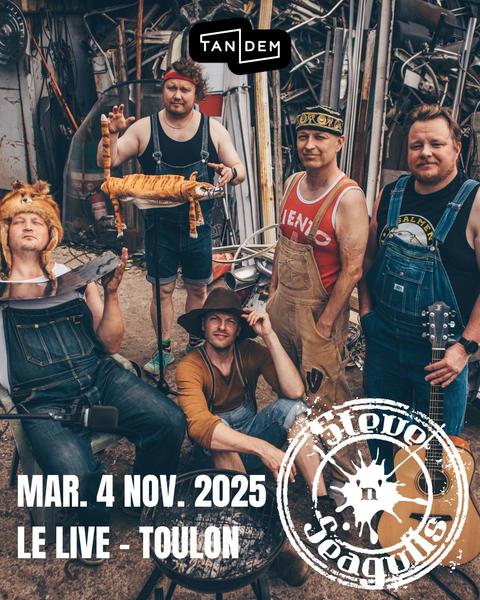 Concert - Steve'n'Seagulls_Toulon