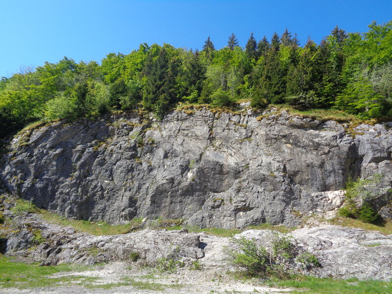 Site d'escalade - Le Rocher Blanc // Massif des Brasses