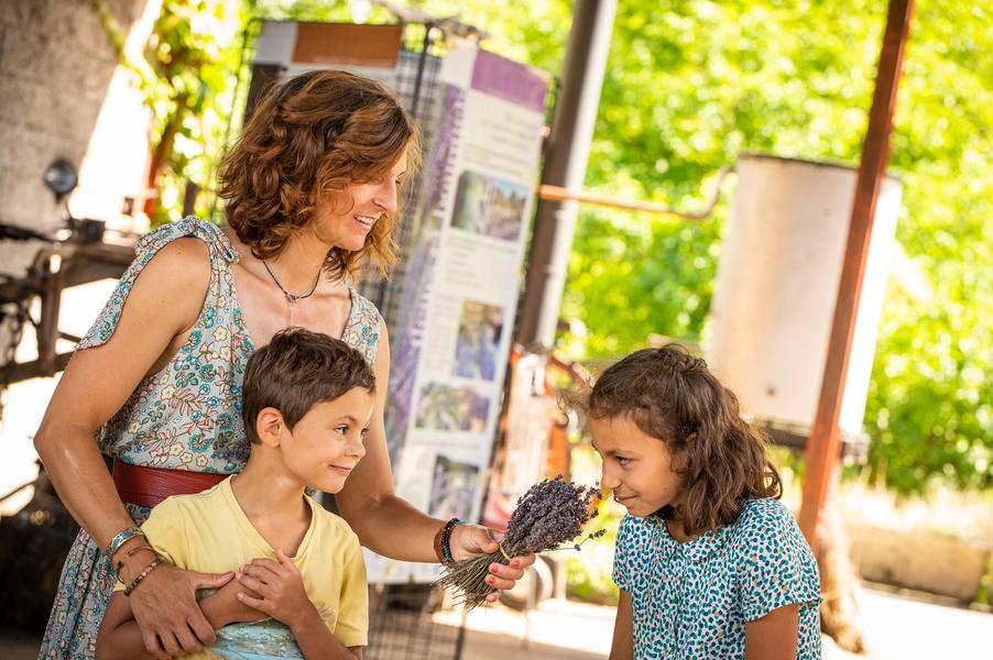 Distillerie des 4 Vallées - Chamaloc