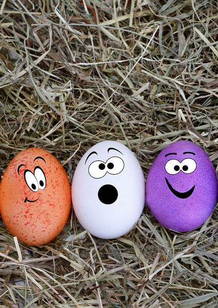 À la recherches des œufs de Pâques