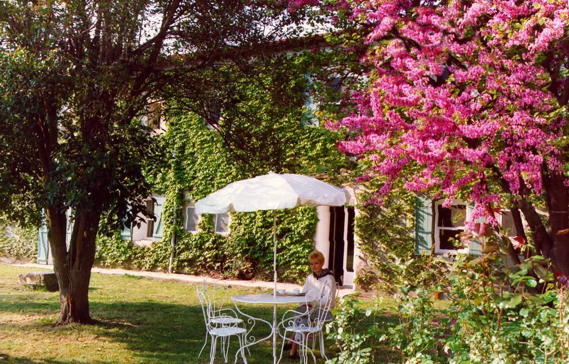 Le Jardin, Arles - photo 22