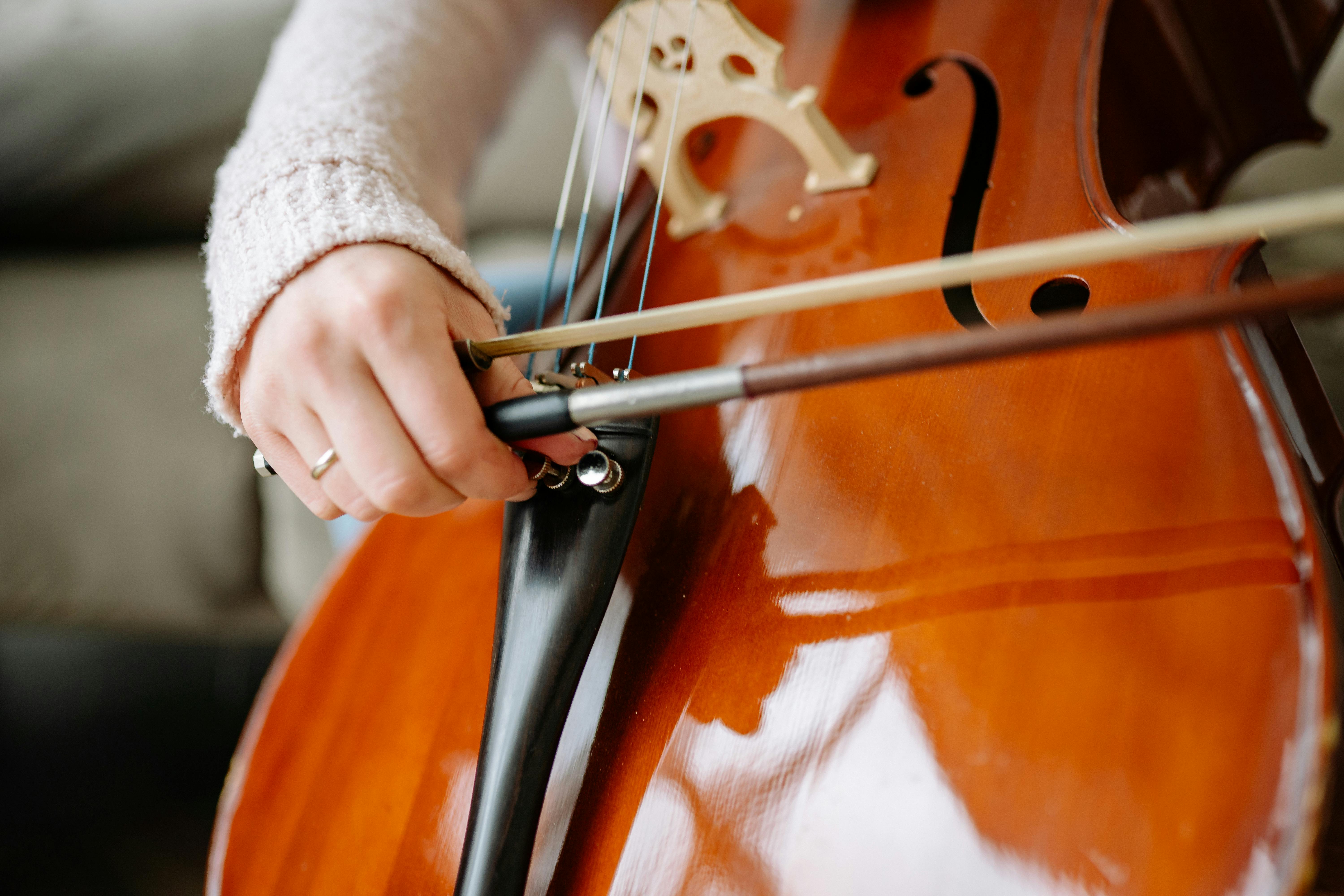 Festival Rosa Musica