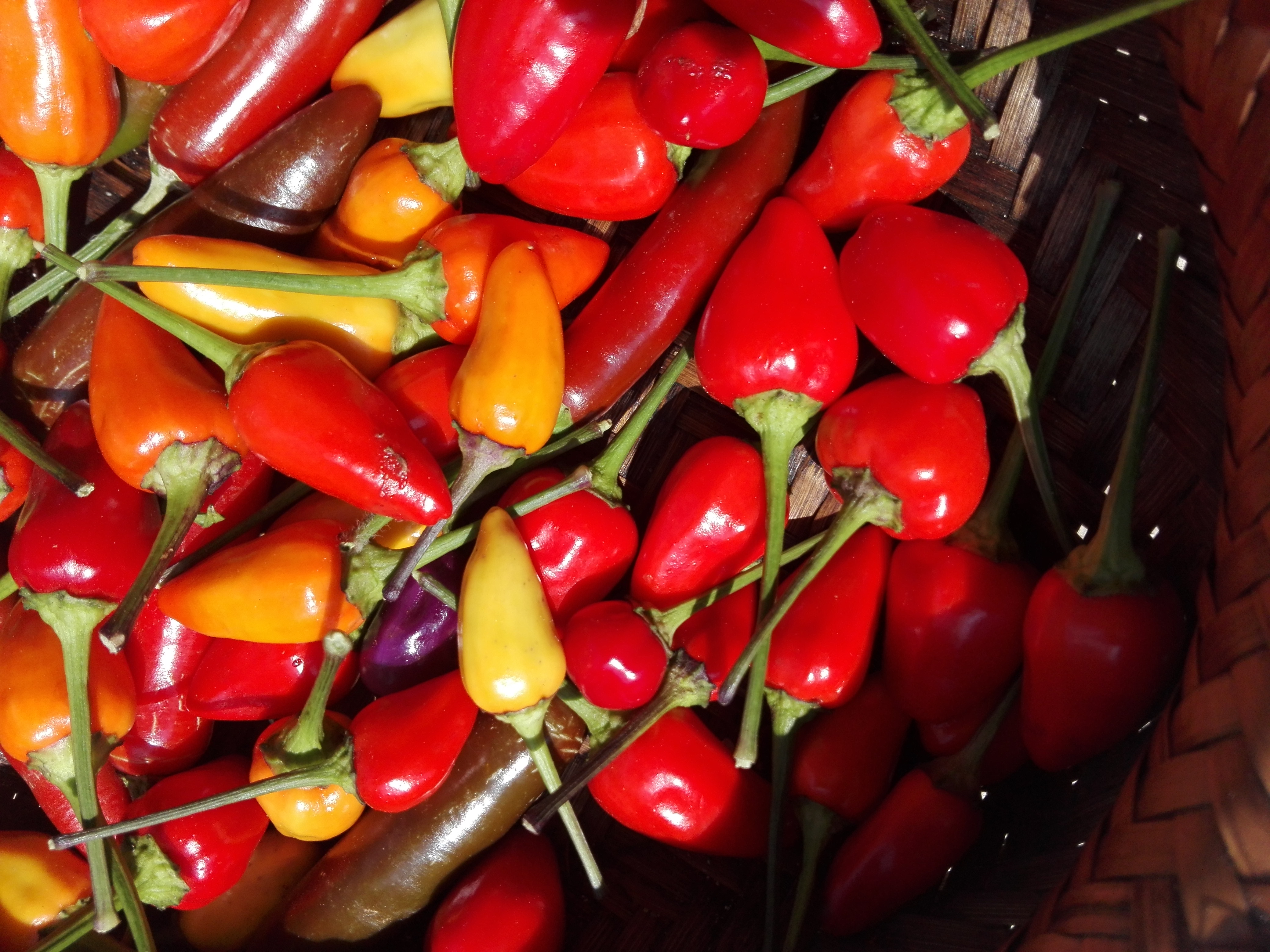 marché de Forcalquier