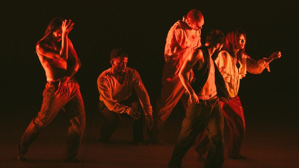 L’ivresse des lucioles