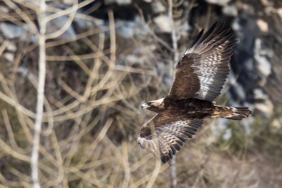Rencontre avec une animatrice du Parc national des Écrins