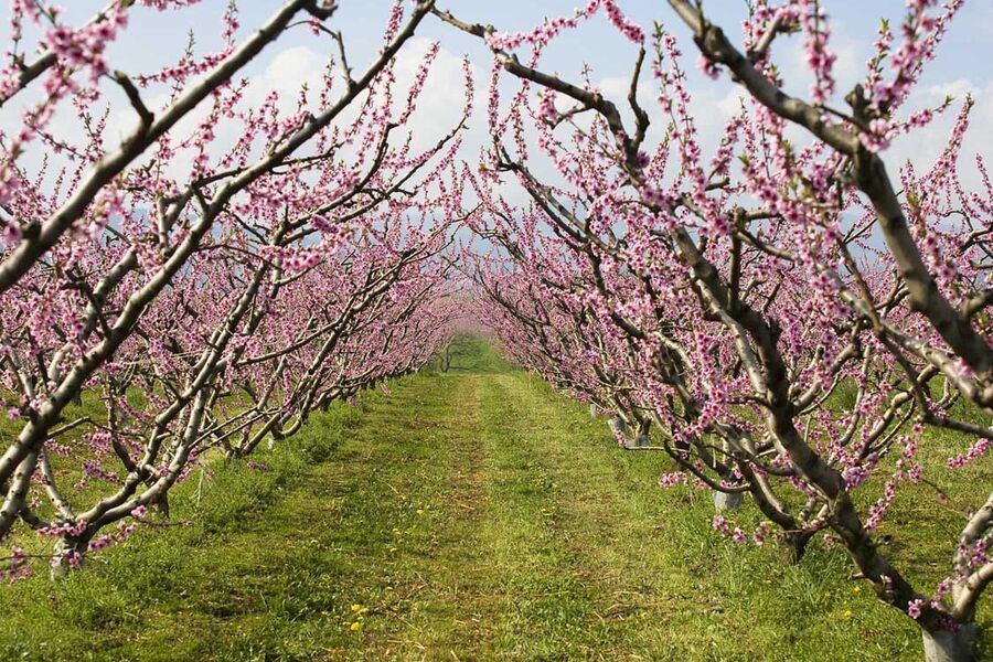 Balade en Vallons Thurins