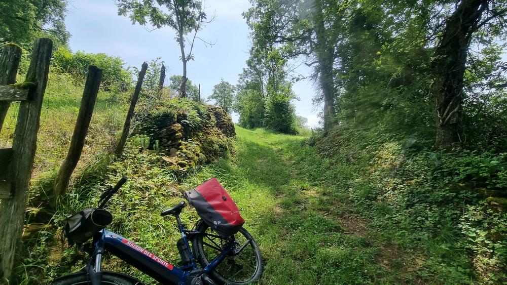 VTTAE n°10 Coligny Plateau de Vergongeat