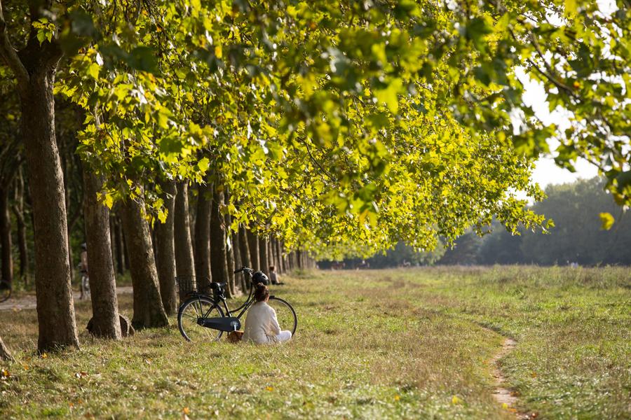 Cycliste se reposant dans le bois de Vincennes 