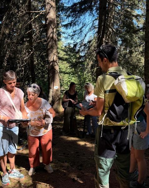 Festival les Forestivités 2026 : Marteloscope, glissez-vous dans la peau d'un forestier
