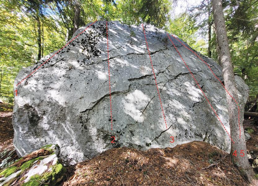 Blocs d'escalade du Plateau d'Assy_Passy