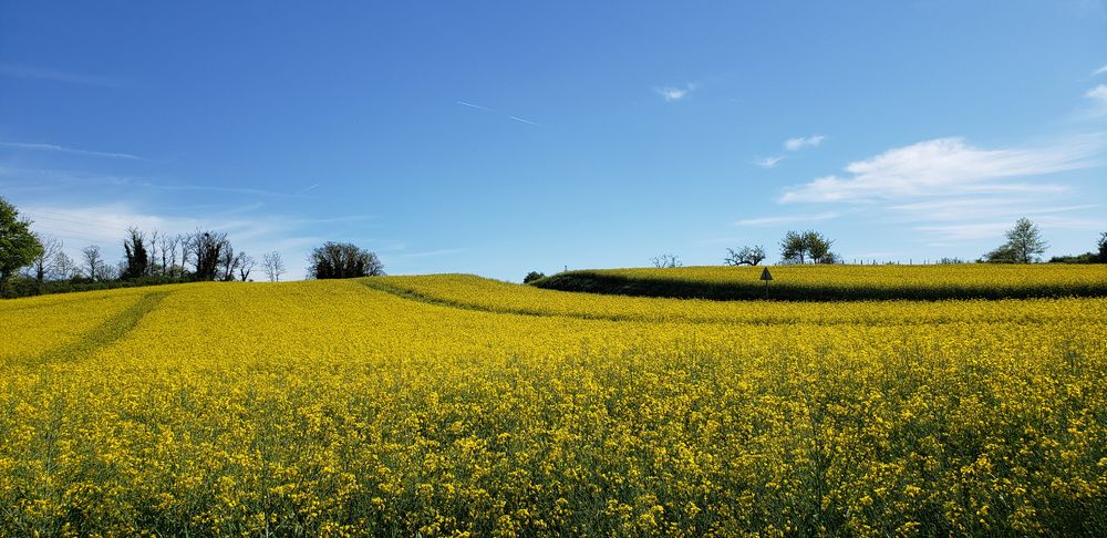 Sentier de l'écureuil à Leyment