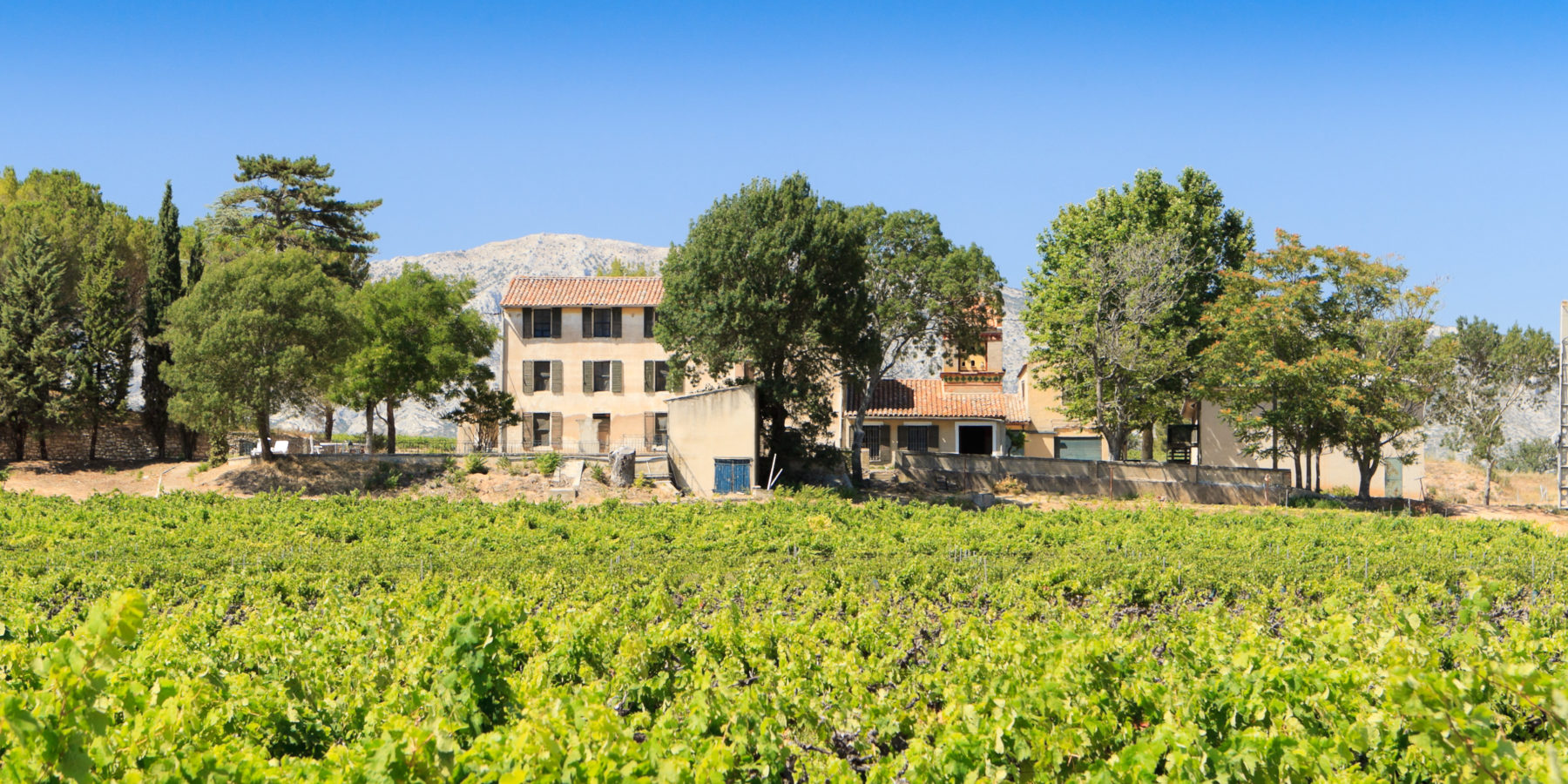 Domaine de l'Anticaille