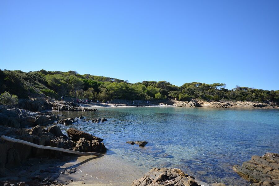 Plage du sud à Port-Cros