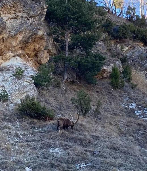 Découverte de la faune sauvage_La Norma