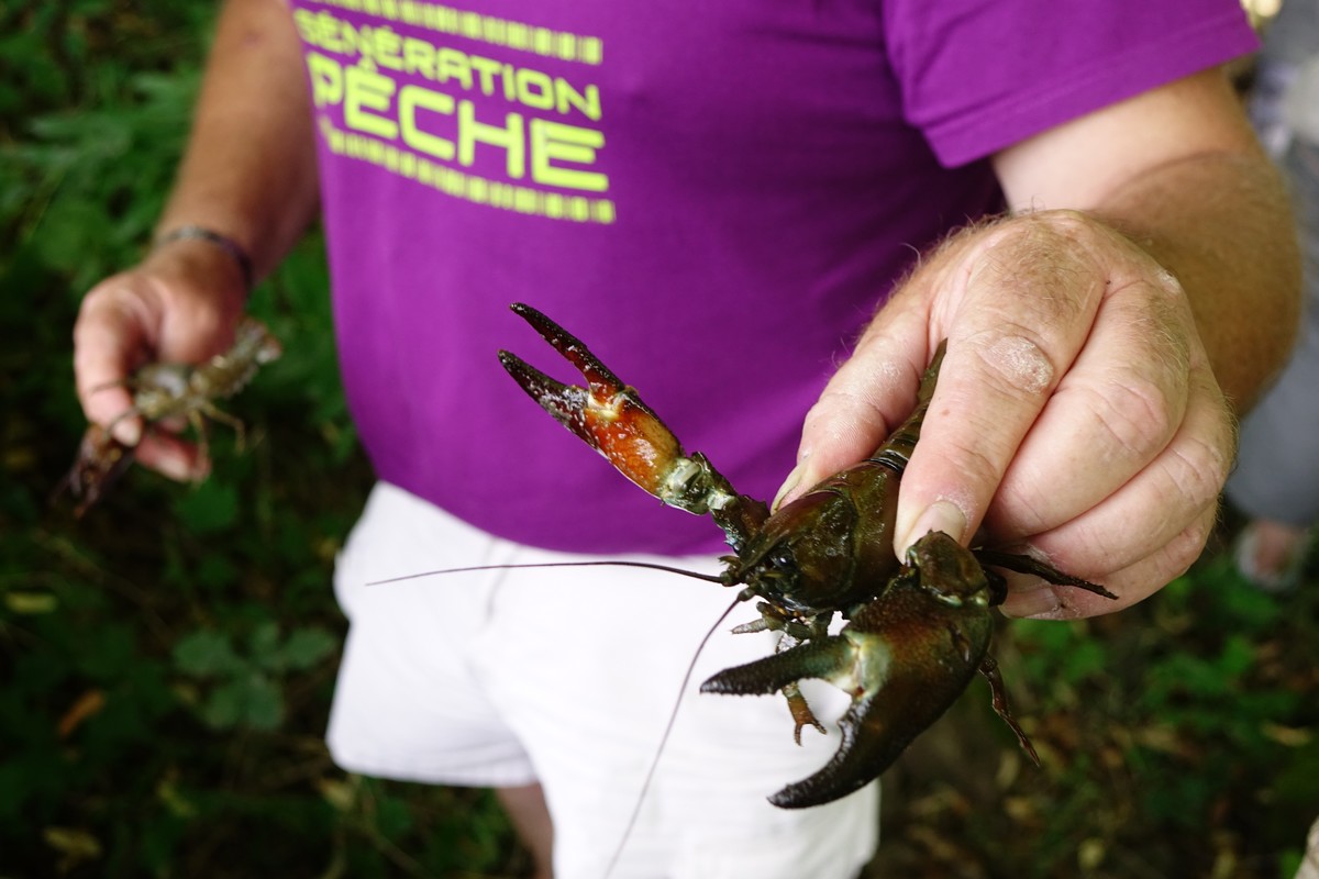 Challenge de pêche aux écrevisses