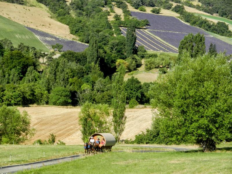 Evasion nature roulotte itinérante et balade en calèche_Le Poët-Célard