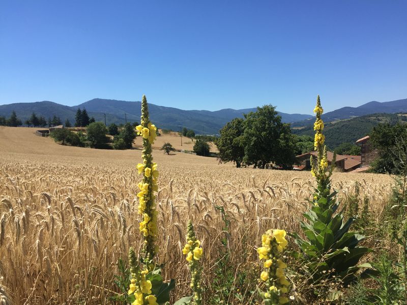 Randonnée de Toissieu à Annonay