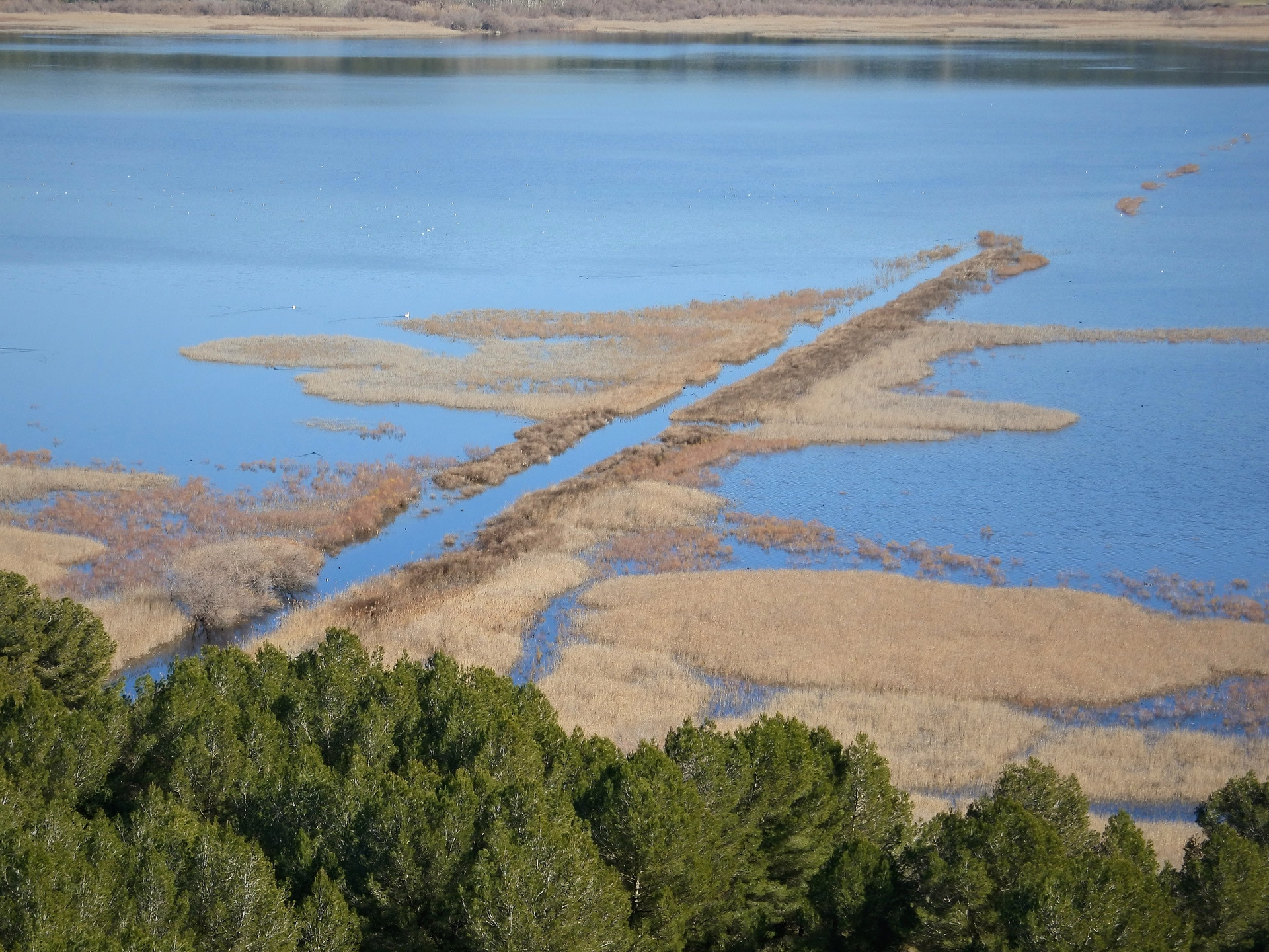 Entre mer et etangs - 1er étape de Port-de-Bouc à Massane, Port-de-Bouc - photo 3