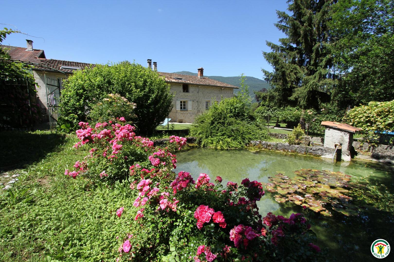 bassin à poissons