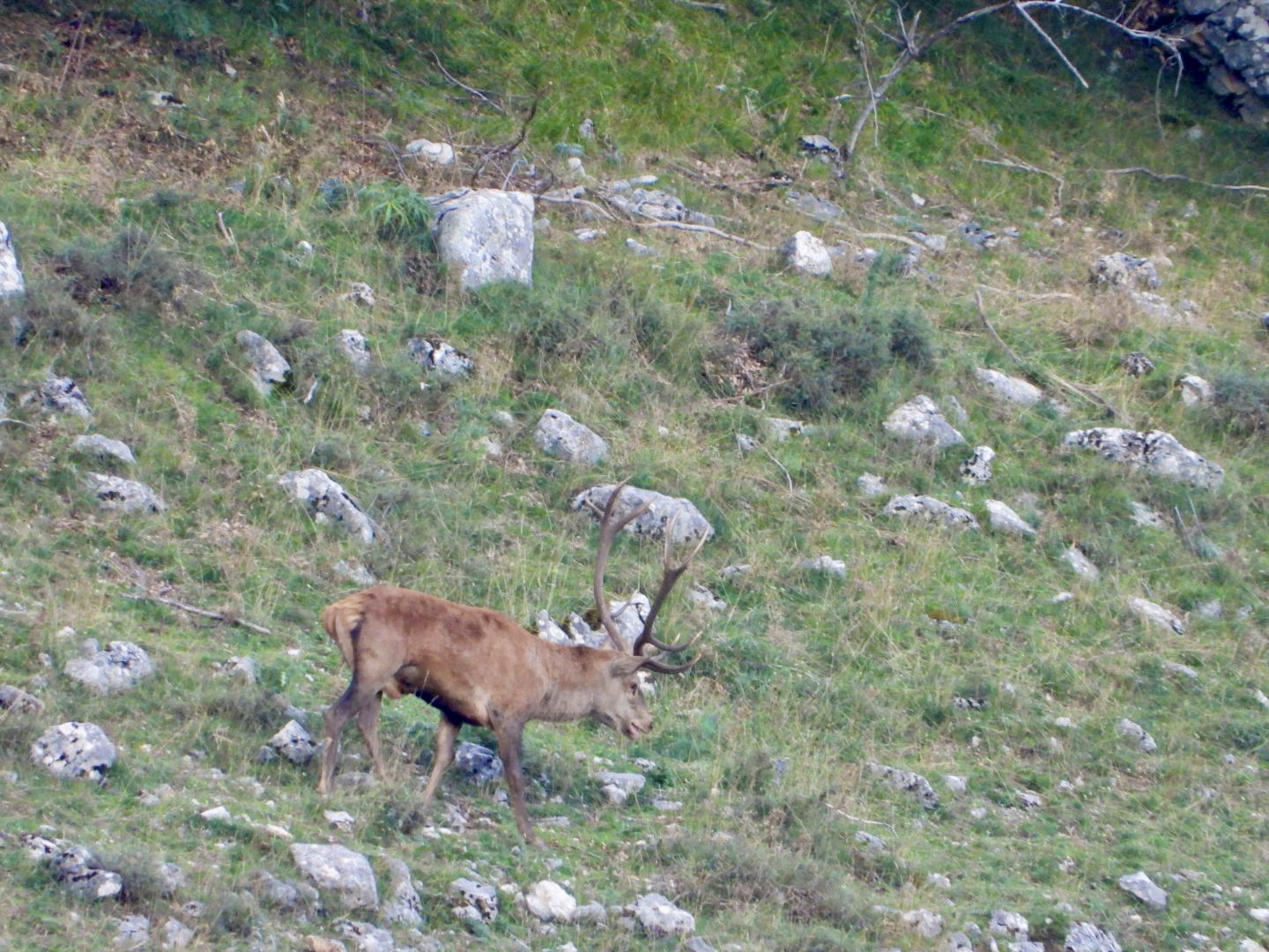 Nature Xplore CROTS