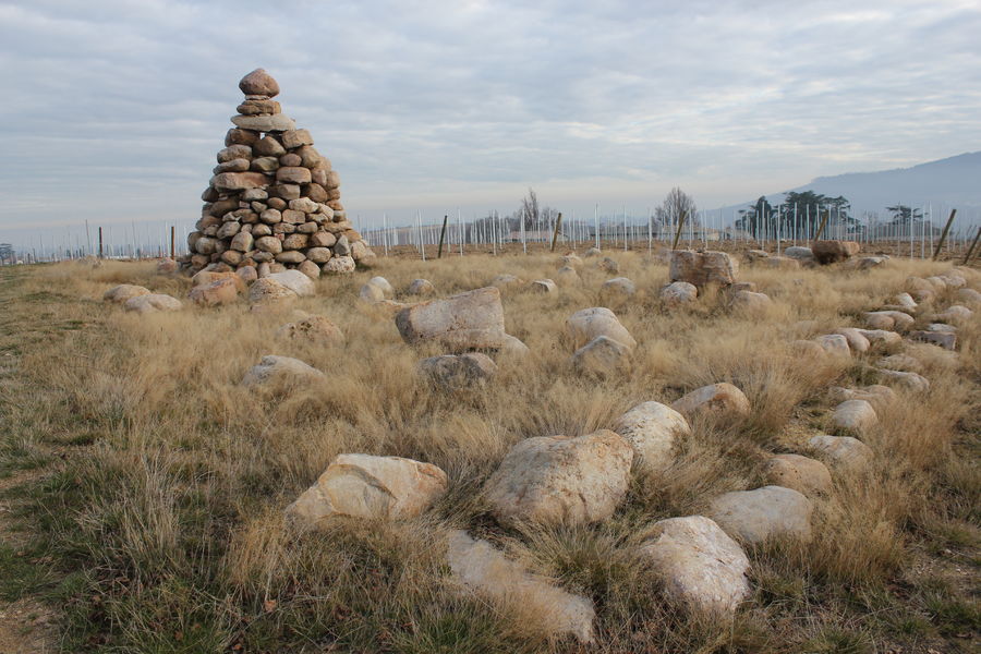 Tour Bourdon Régnié Durette