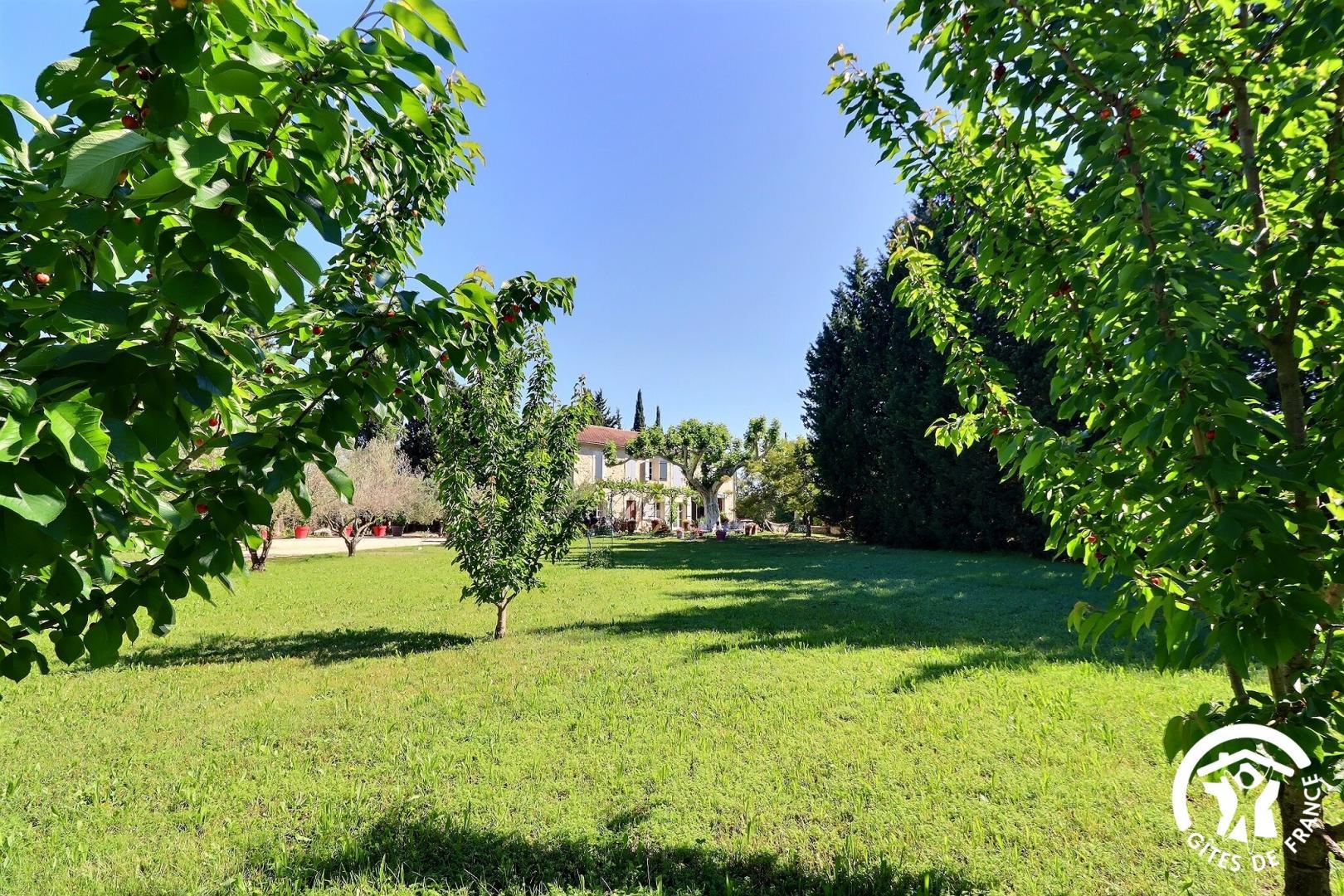 Mas de l'Aubarède, Graveson - photo 4