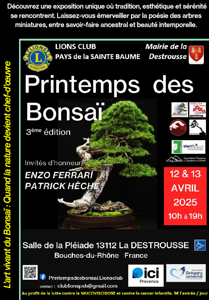 Printemps des bonsaï, La Destrousse - photo 2
