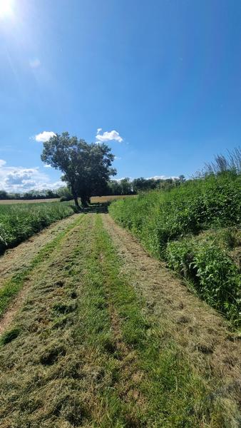 Circuit VTT-VTC n°26 (noir)_Tour de St Didier d'Aussiat