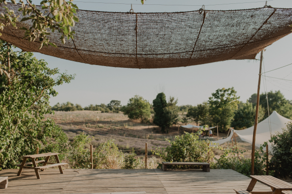 Visite d'un champ de Lavande Aix en Provence