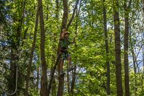Accro Park des Gaillands - Cie des Guides de Chamonix