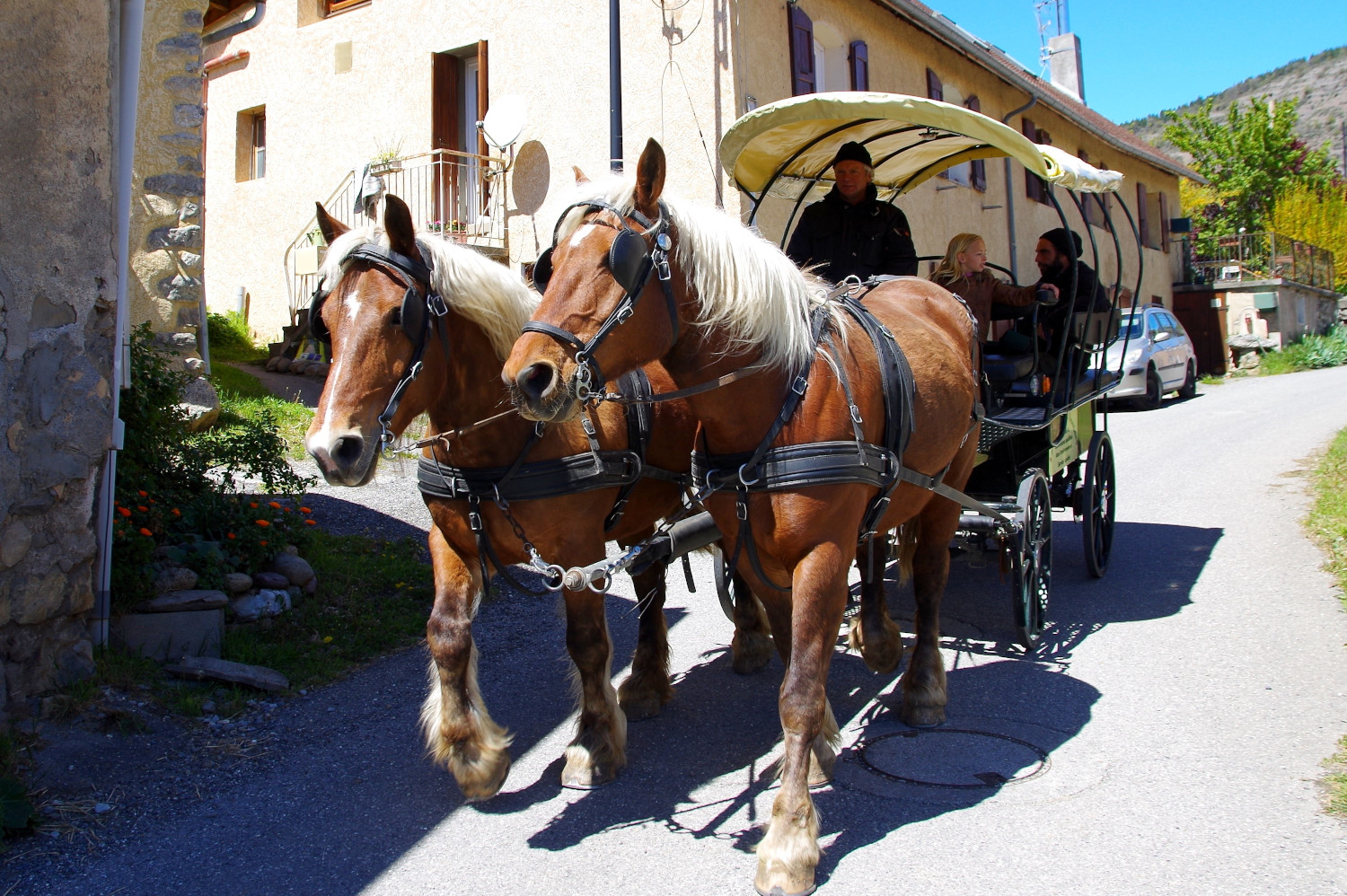 Promenade en calèche, Chariot des Hautes Terres