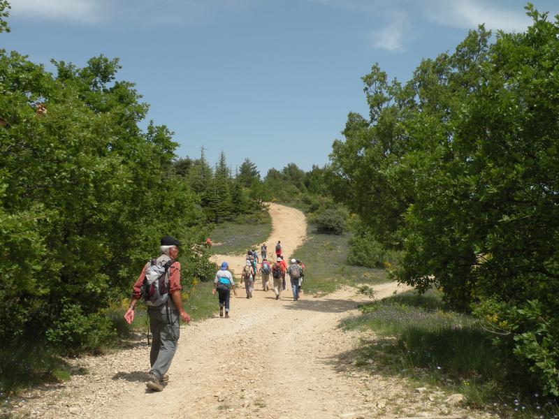 Sortie buissonnière "Biodiversité et pastoralisme : défense contre les incendies"_Manosque