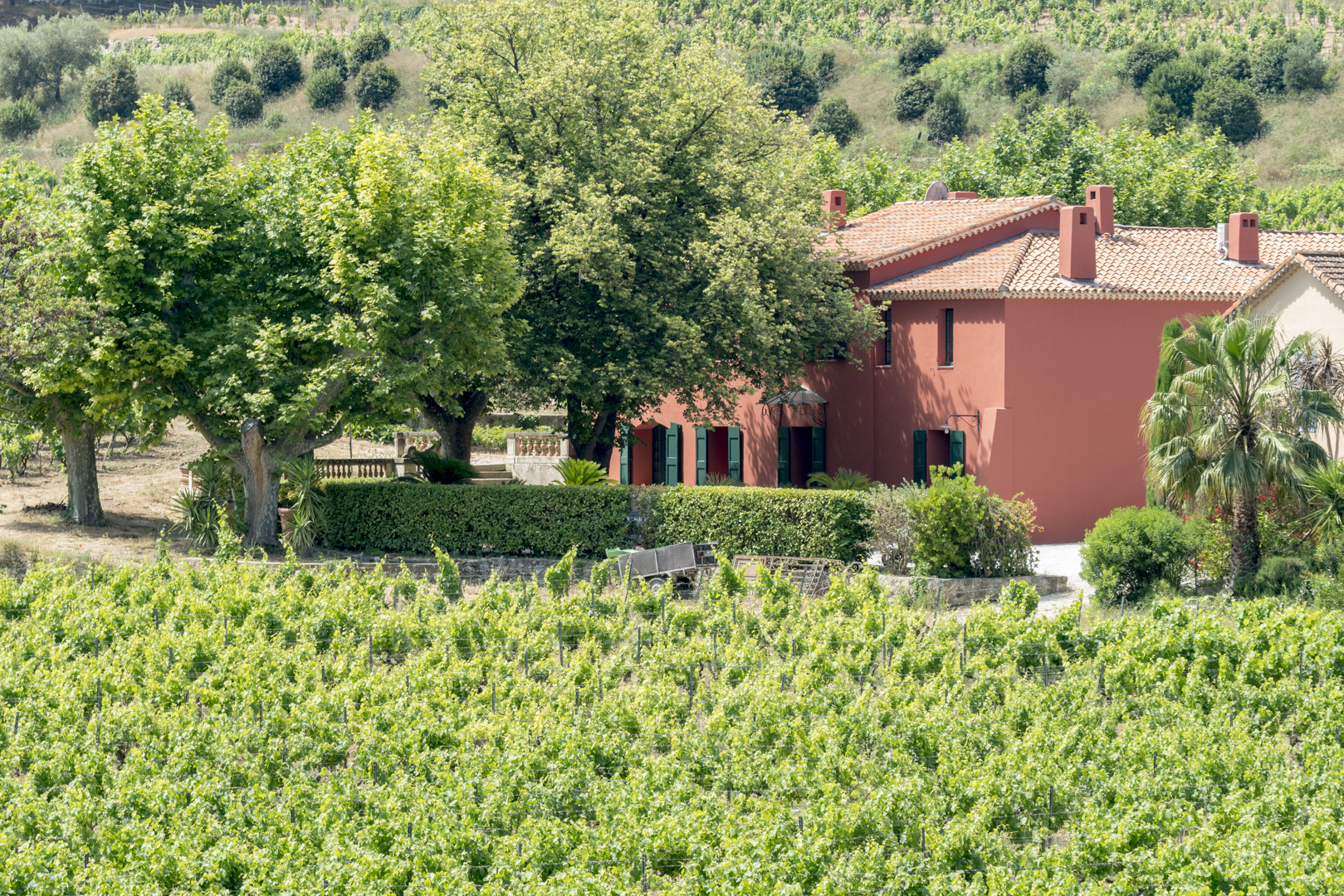 Domaine du Bagnol — photo 3